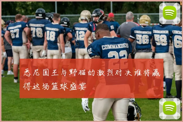 悉尼国王与野猫的激烈对决谁将赢得这场篮球盛宴