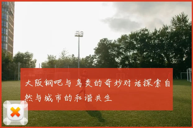 大阪钢吧与鸟类的奇妙对话探索自然与城市的和谐共生