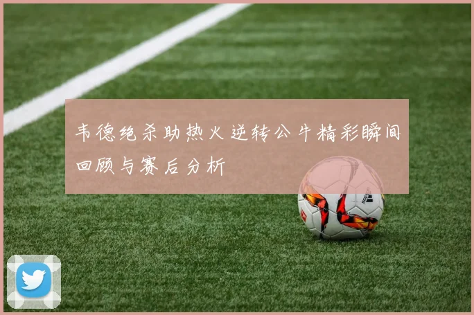 韦德绝杀助热火逆转公牛精彩瞬间回顾与赛后分析