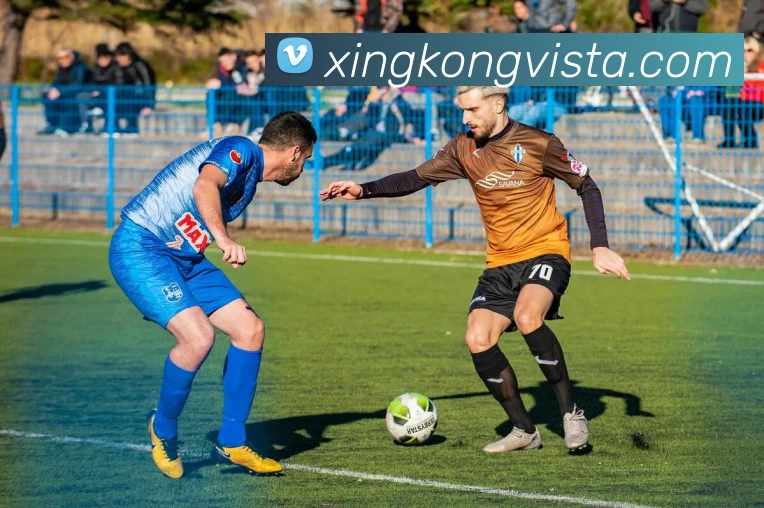 星空体育APP 体育赛事宣传图